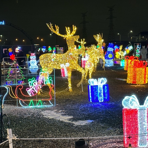 Meet your Posher, Kaya - Picture 1 of 1